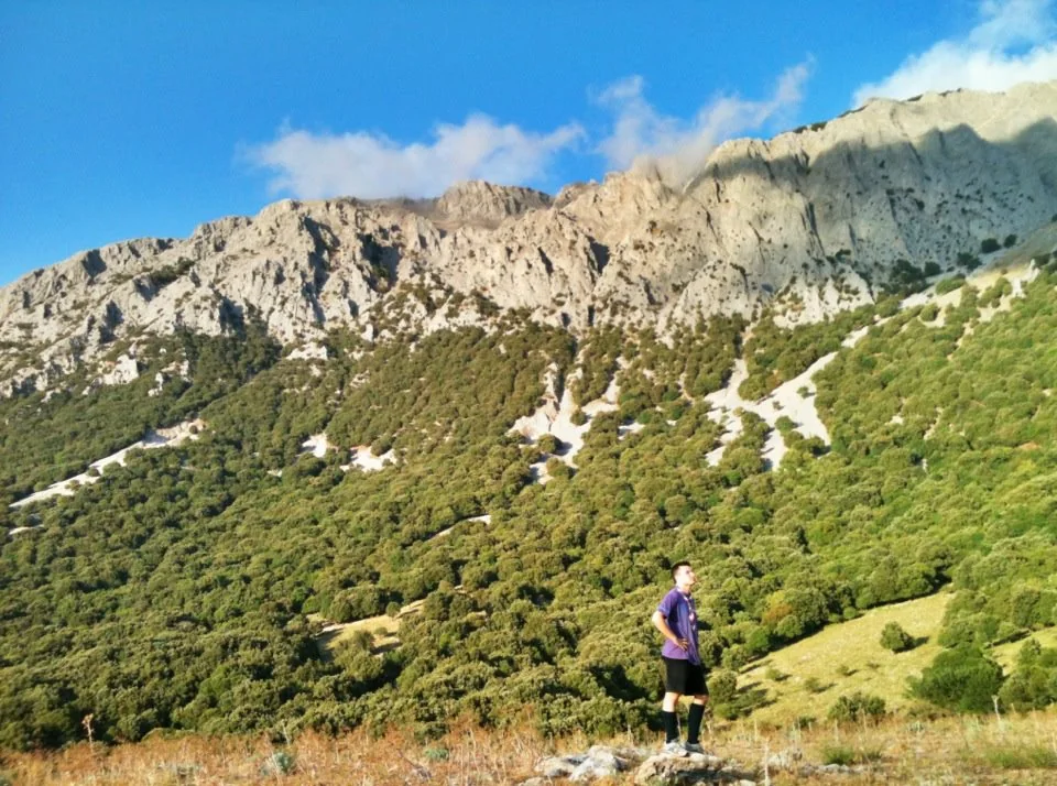 Campo di Reparto in Sicilia.